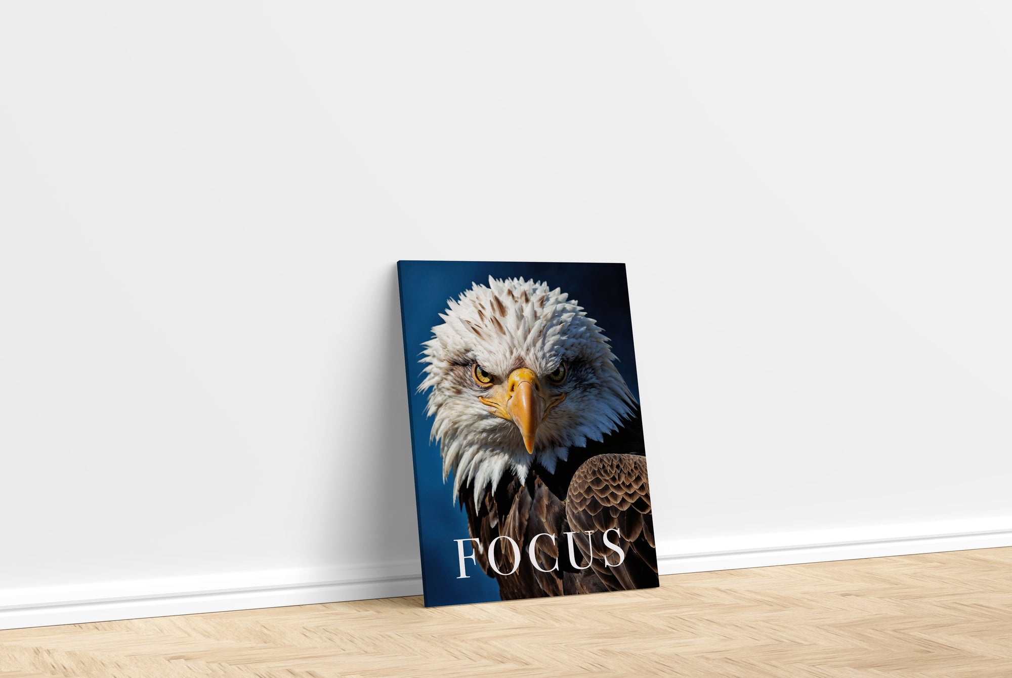 FOCUS - Blick eines Weißkopfseeadler